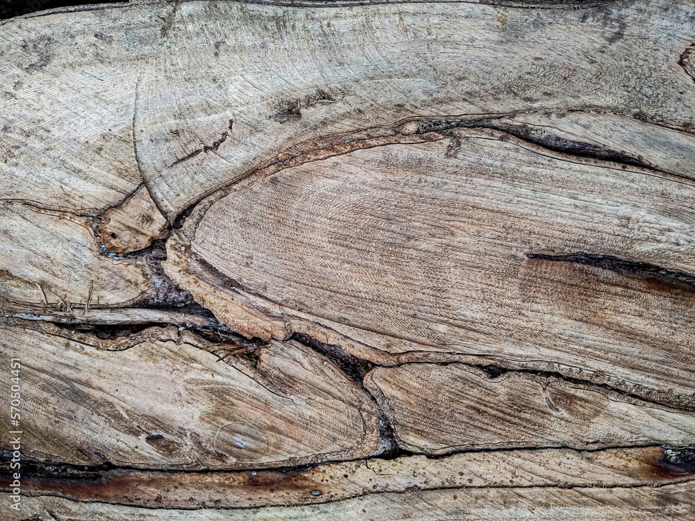 Wood texture background surface old natural pattern Wood texture background surface old natural pattern