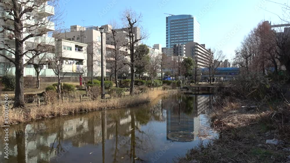 大横川親水公園 2023年 大横川親水公園 2023年
