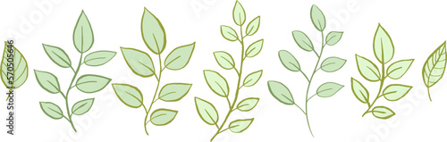 Set of vector twigs and leaves. Vector illustration. Natural plant.