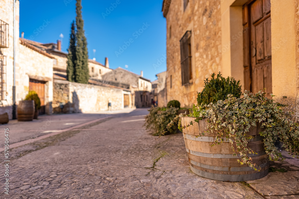 Detail of green vine plant in a wooden pot placed in the street of the medieval village of Pedraza.