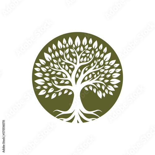 Tree logo images design
