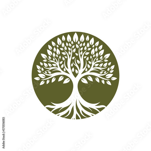 Tree logo images design