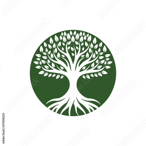 Tree logo images design