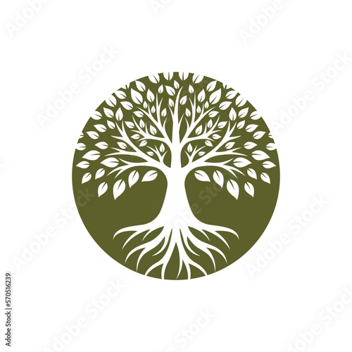 Tree logo images design