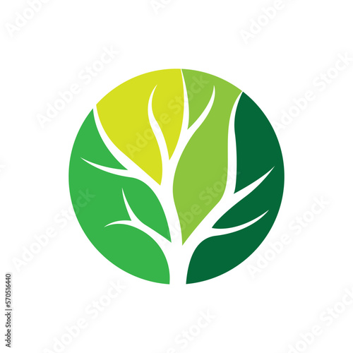 Tree logo images design