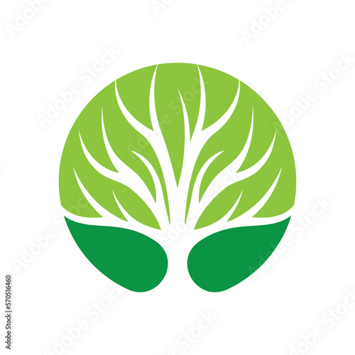 Tree logo images design