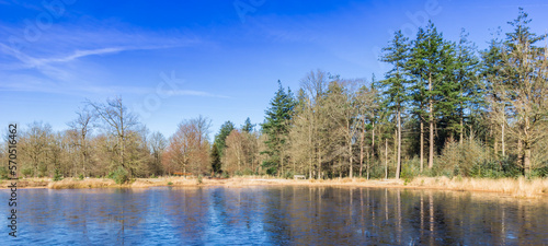 Panorama of a frozen lake in national park Drents Friese Wold, Netherlands photo