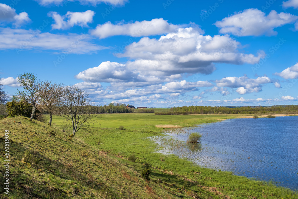 Lake with a wetland in a beautiful landscape view in the spring