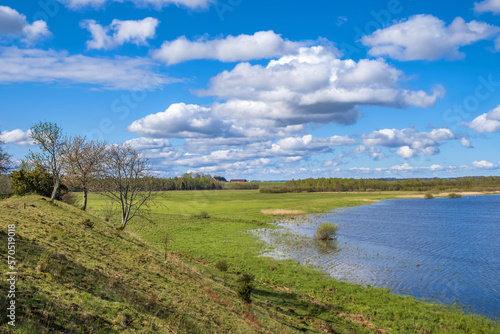 Lake with a wetland in a beautiful landscape view in the spring