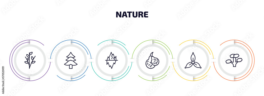 nature infographic element with outline icons and 6 step or option. nature icons such as willow, cedar, iceberg, bergamot, iris, slippery elm tree vector.