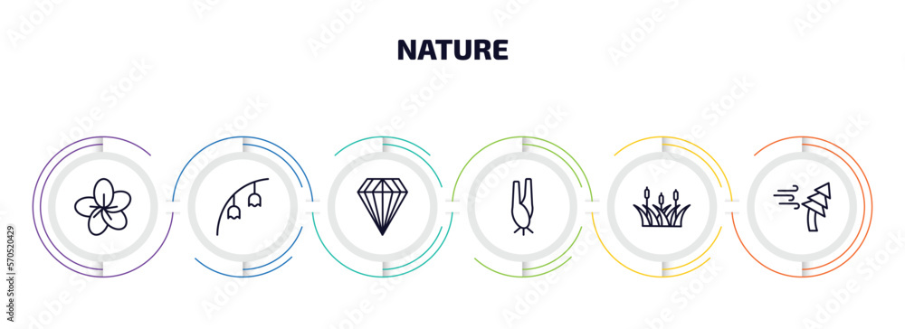 nature infographic element with outline icons and 6 step or option. nature icons such as sakura, bluebell, gemstone, lemongrass, reed, windstorm vector. nature infographic element with outline icons and 6 step or option. nature icons such as sakura, bluebell, gemstone, lemongrass, reed, windstorm vector.