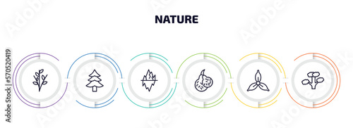 nature infographic element with outline icons and 6 step or option. nature icons such as willow, cedar, iceberg, bergamot, iris, slippery elm tree vector.