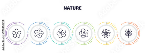 nature infographic element with outline icons and 6 step or option. nature icons such as oleander, petunia, orchid, peony, hypericum, pinnate vector.