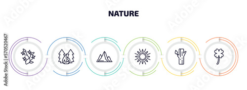 nature infographic element with outline icons and 6 step or option. nature icons such as ikebana flowers, forest fire, hill, sun flare, trunk, clovers vector.