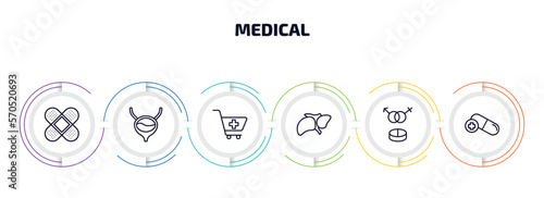 medical infographic element with outline icons and 6 step or option. medical icons such as bandage cross, bladder, phary shopping cart, liver, united heterosexual, antibiotic vector.