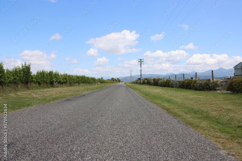 Straight road in the Marlborough wine region on the South Island of New Zealand.