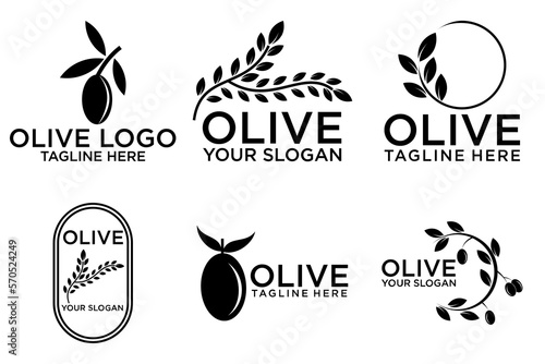 Set of branch olive tree. Black and white outline silhouette. Vector illustration