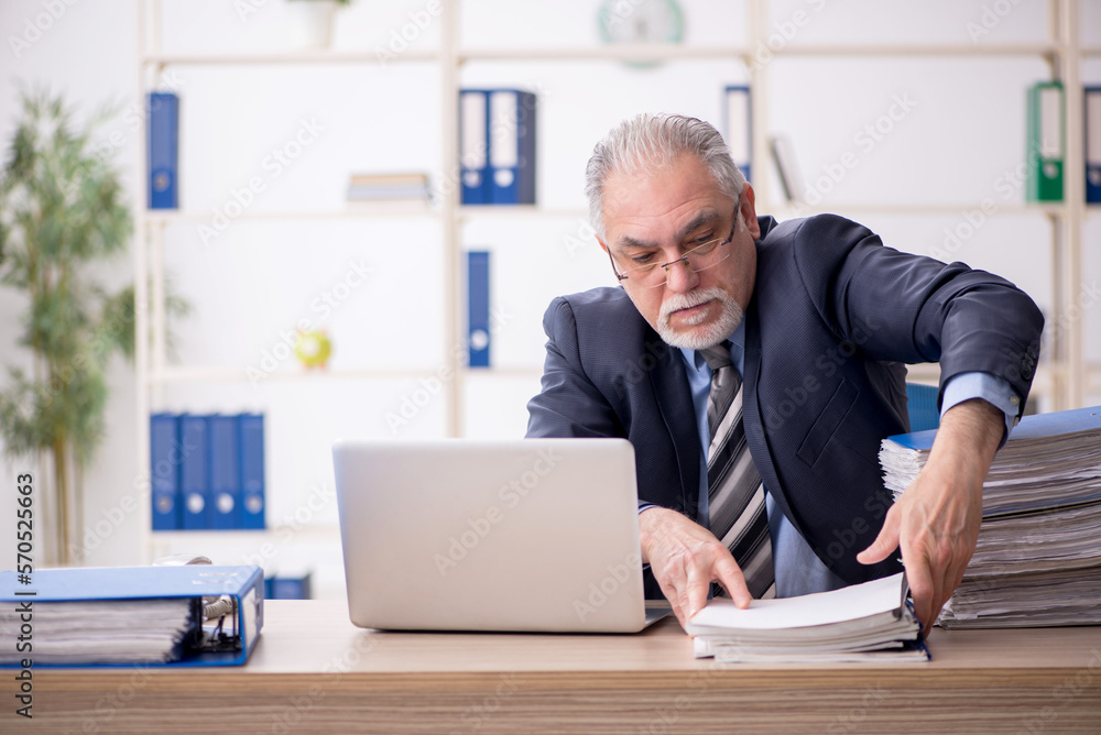 Old male employee working in the office Old male employee working in the office