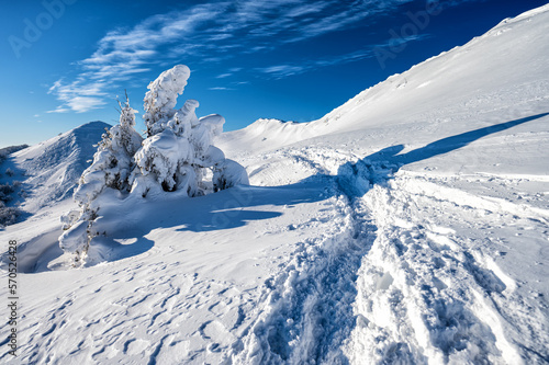 Fototapeta Naklejka Na Ścianę i Meble -  Połonina Wetlińska - one of the most popular tourist destinations in the Bieszczady National Park.