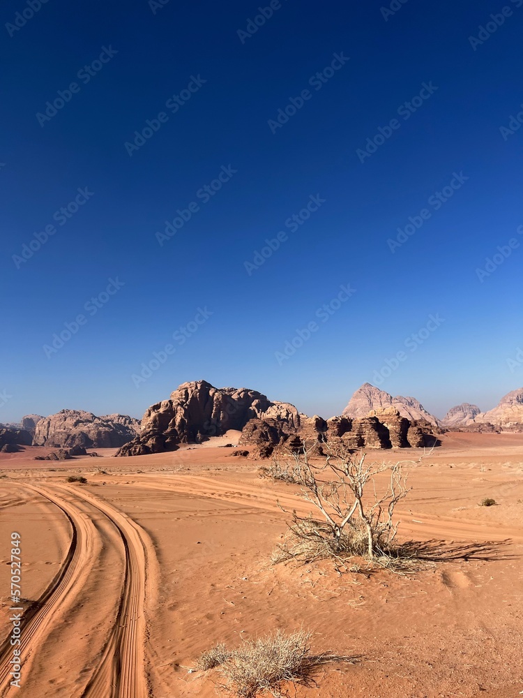 Naklejka premium Wadi Rum