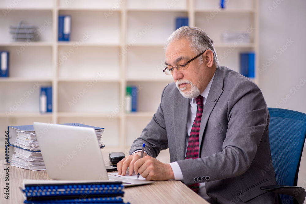 Old male employee working in the office Old male employee working in the office