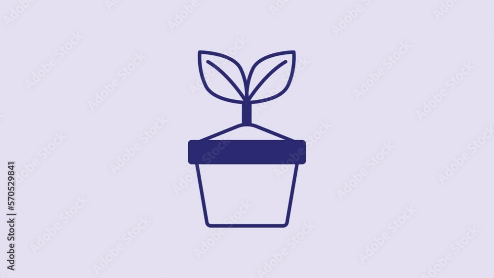 Blue Plant in pot icon isolated on purple background. Plant growing in a pot. Potted plant sign. 4K Video motion graphic animation Blue Plant in pot icon isolated on purple background. Plant growing in a pot. Potted plant sign. 4K Video motion graphic animation