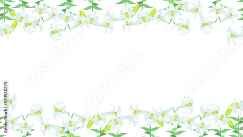 テッポウユリの背景フレームイラスト素材。フラットなベクターイラスト。 Easter lilies background frame. Flat designed vector illustration.