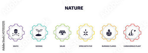 nature infographic element with filled icons and 6 step or option. nature icons such as death, seeding, solar, sprig with five leaves, burning flames, carnivorous plant vector.