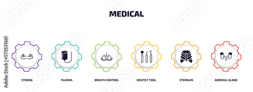 medical infographic element with filled icons and 6 step or option. medical icons such as strong, plasma, breath control, dentist tool, sternum, adrenal gland vector.