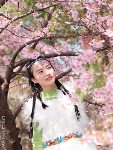 Outdoor portrait of beautiful young Chinese girl in Tibetan traditional clothing with blossom cherry tree brunch background in spring garden, beauty, summer, emotion, expression and people concept. photo