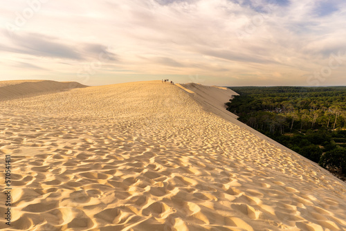 Big sand dunes with forest in Dune du Pilat landes Aquitaine France 