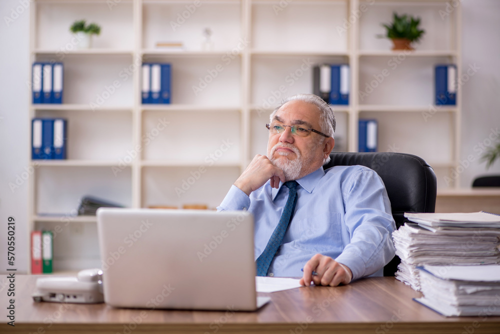 Old male employee working in the office Old male employee working in the office