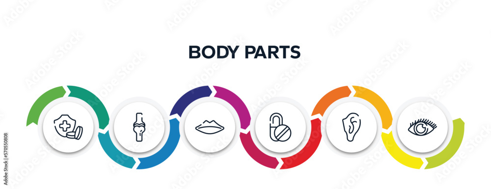 body parts outline icons with infographic template. thin line icons such as health insurance or hospital costs, ball of the knee, thin lips, capsule, ear, eye with enlarged pupil vector. body parts outline icons with infographic template. thin line icons such as health insurance or hospital costs, ball of the knee, thin lips, capsule, ear, eye with enlarged pupil vector.