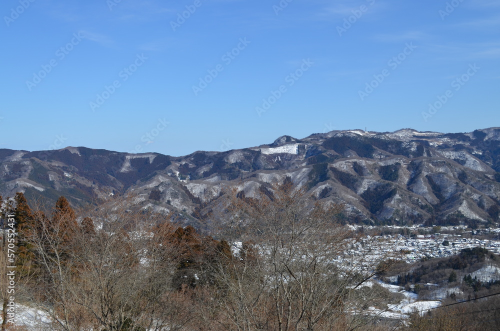 宝登山山頂からの景色