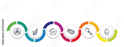 outline icons with infographic template. thin line icons such as respiratory, weak, broken, cell division, magnifying glass, rhinitis vector.