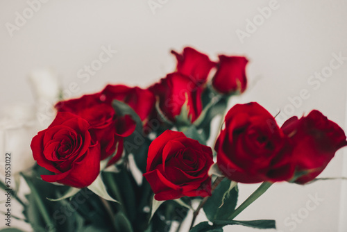 Close Up Photo of Red Roses