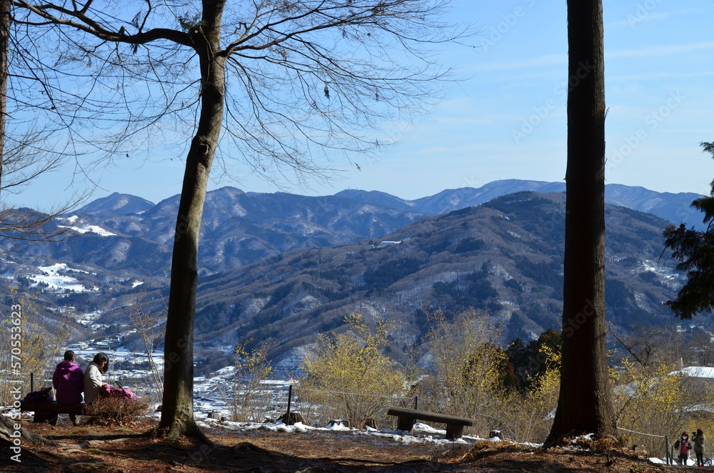 Obraz premium 宝登山山頂からの景色
