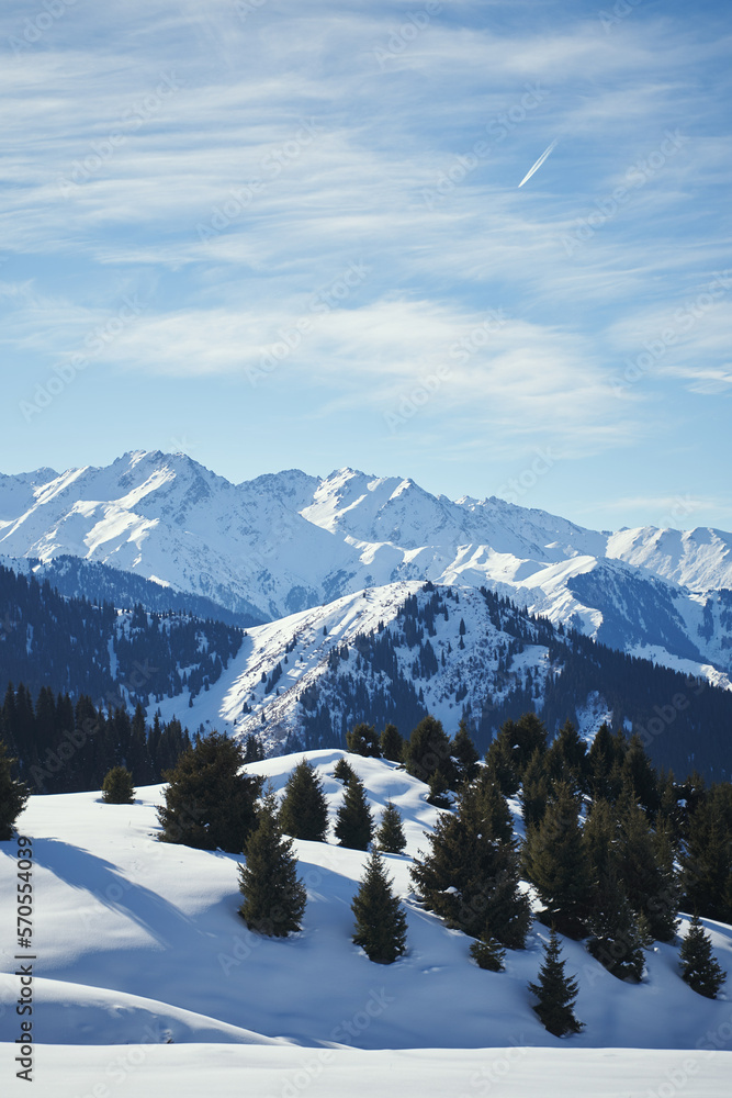 Vertical landscape with mountain range covered with snow.