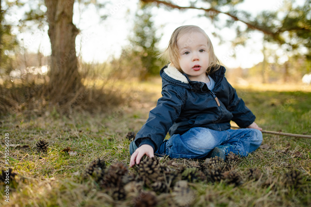 Cute toddler boy playing with pine cones outdoors on sunny spring day. Child exploring nature. Cute toddler boy playing with pine cones outdoors on sunny spring day. Child exploring nature.