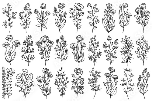 Line art vector Drawing. Set Of Plants, leaves and flowers. Black Sketch of botanical designs Isolated on White Background. Flowers vector Linear Illustration. Minimalist Prints Set.