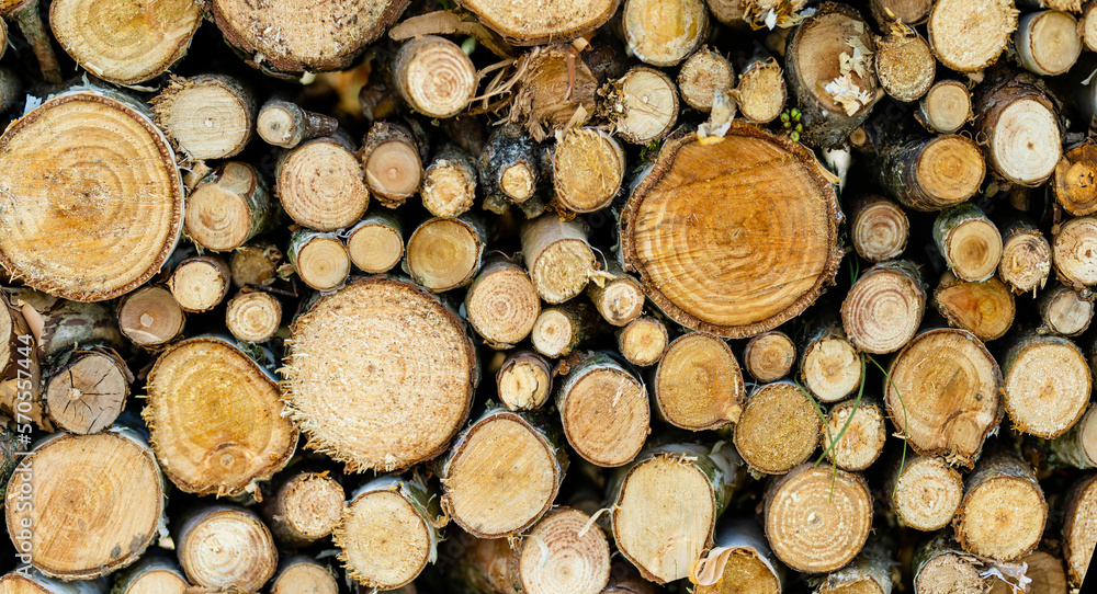 Background of dry chopped firewood logs stacked up on top of each other Background of dry chopped firewood logs stacked up on top of each other