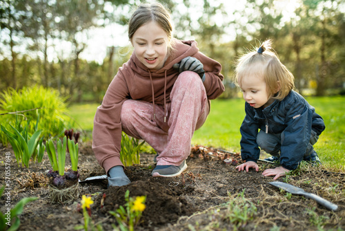 Photographie Big sister and her toddler brother planting hyacinth flowers on spring day