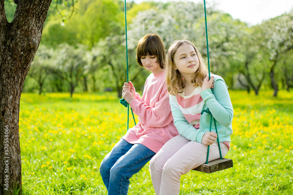 Two young sisters having fun on a swing in blossoming apple orchard on warm spring day.