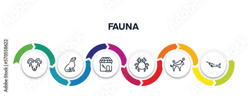 fauna outline icons with infographic template. thin line icons such as male sheep head, dog seating, pet grooming, big mite, washing the dog, big swordfish vector.