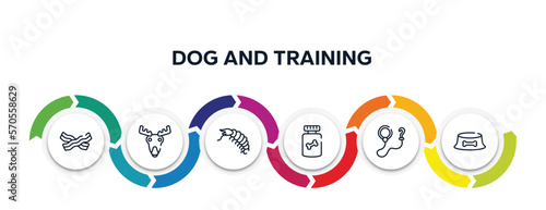 dog and training outline icons with infographic template. thin line icons such as null, moose head, big shrimp, honey treat, leash, dog dish vector.