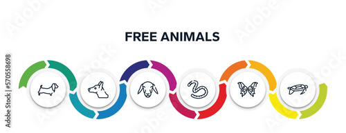 free animals outline icons with infographic template. thin line icons such as dog with long ears, doberman dog head, female sheep head, earth worm, butterfly wings, swimming turtle vector.