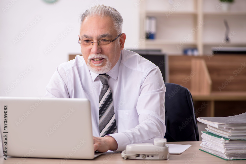 Old male boss employee working in the office Old male boss employee working in the office