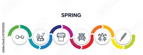 spring outline icons with infographic template. thin line icons such as dumbbell, bunny, freezer, ladybird, insect, skewer vector.