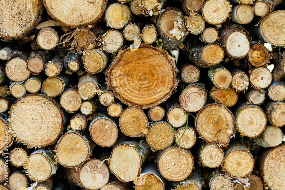 Background of dry chopped firewood logs stacked up on top of each other Background of dry chopped firewood logs stacked up on top of each other