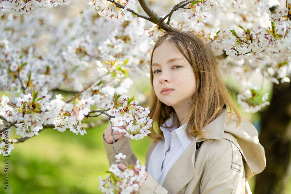 Adorable young girl in blooming cherry tree garden on beautiful spring day. Cute child picking fresh cherry tree flowers at spring. Adorable young girl in blooming cherry tree garden on beautiful spring day. Cute child picking fresh cherry tree flowers at spring.